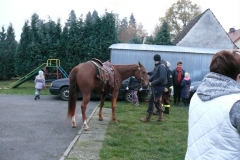 Image00044