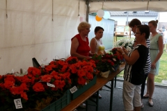 Image00007