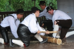 Image00042