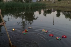 Image00019