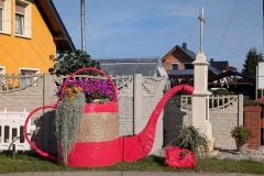 Image00011