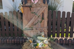 Image00012