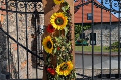 Image00016